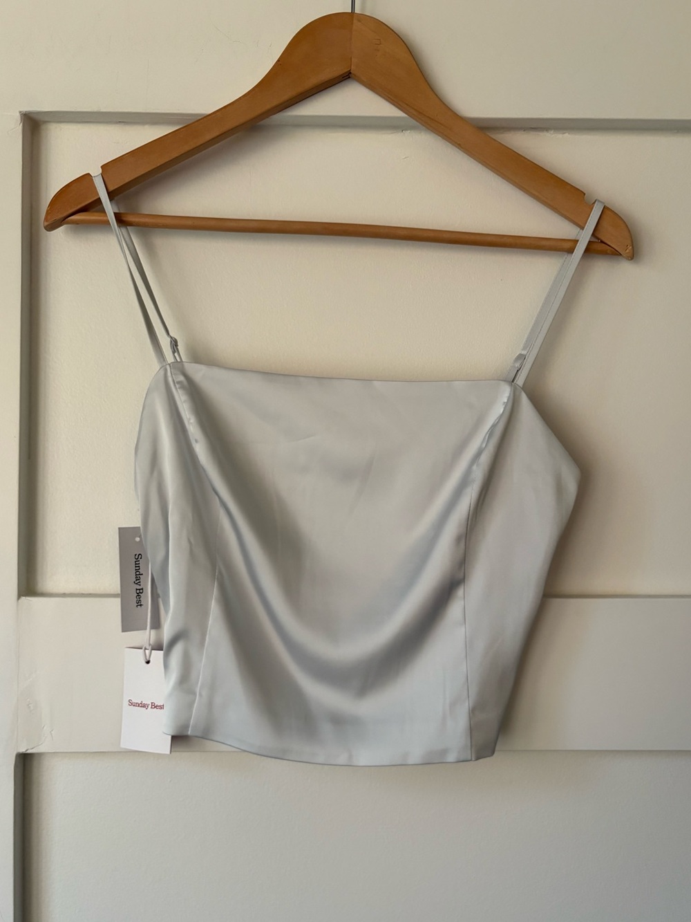 NWT Aritzia • Sunday Best Shimmer Satin Camisole • Size Small